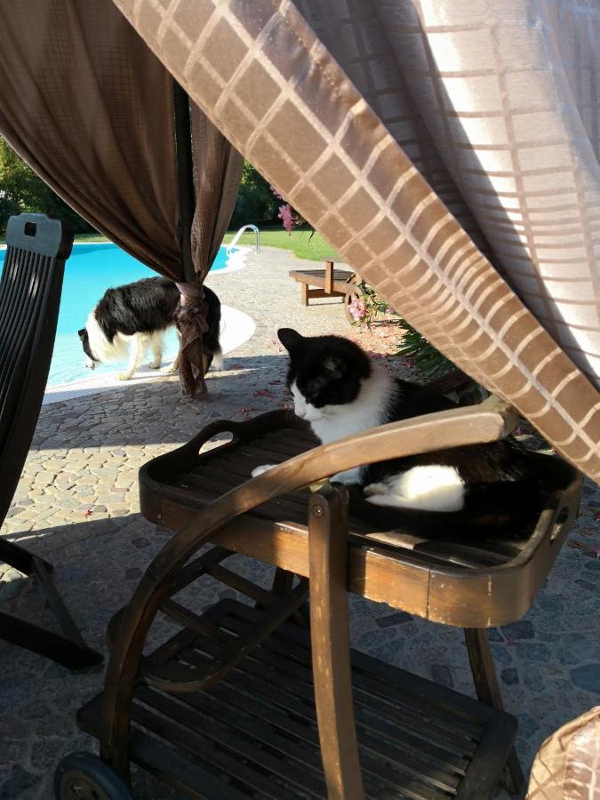 B&B Il Martin Pescatore Bagnolo San Vito Exterior photo